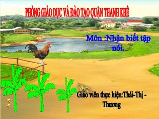 Bài giảng Mầm non Lớp Nhà trẻ - Nhận biết tập nói - Đề tài: Con gà trống - Thái Thị Thương