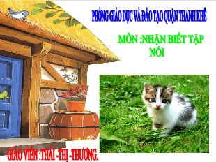 Bài giảng Mầm non Lớp Nhà trẻ - Nhận biết tập nói - Đề tài: Con mèo - Thái Thị Thương