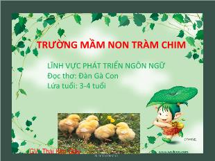 Bài giảng Mầm non Lớp 3 tuổi - Thơ: Đàn gà con - Thái Kim Giàu
