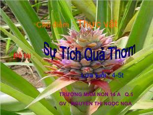 Bài giảng Mầm non Lớp 4 tuổi - Chủ điểm: Thực vật - Sự tích quả thơm - Nguyễn Thị Ngọc Nga