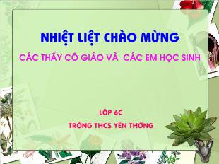 Bài giảng lớp 6 môn toán - Tiết 45: Cộng hai số nguyên khác dấu