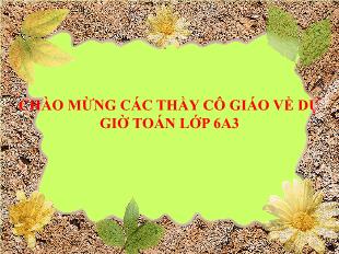 Bài giảng lớp 6 môn toán - Tiết 88: Luyện tập