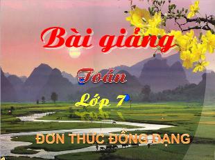 Bài giảng môn Toán lớp 7 - Đơn thức đồng dạng (tiếp)