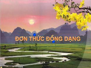 Bài giảng môn Toán lớp 7 - Đơn thức đồng dạng (tiết 1)