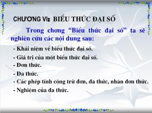 Bài giảng môn toán lớp 7 - Tiết 51: Khái niệm về biểu thức đại số (tiếp)