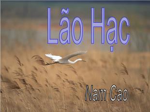 Bài giảng Ngữ văn 9: Lão Hạc - Nam Cao