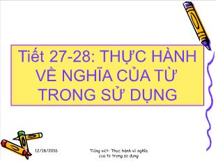 Bài giảng môn học Ngữ văn lớp 11 - Tiết 27-28: Thực hành về nghĩa của từ trong sử dụng