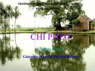 Bài giảng môn Ngữ văn lớp 11 - Chí Phèo (Nam Cao) - Nguyễn Thị Mai Hương