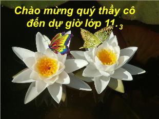 Bài giảng môn Ngữ văn lớp 11 - Đặc điểm loại hình của tiếng việt - Tiết 1