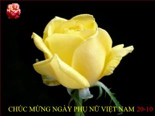 Bài giảng môn Ngữ văn lớp 11 - Ôn tập văn học trung đại Việt Nam