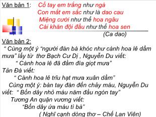 Bài giảng môn Ngữ văn lớp 11 - Thao tác lập luận so sánh