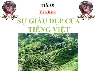 Bài giảng Ngữ văn khối 11 - Tiết 85: Văn bản: Sự giàu đẹp của Tiếng Việt