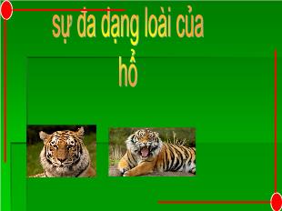 Bài giảng môn Ngữ văn 10 - Sự đa dạng loài của hổ