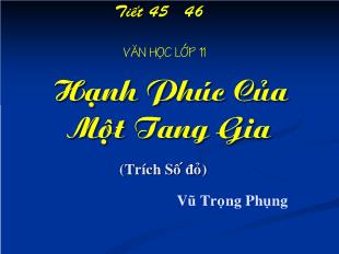 Bài giảng môn Ngữ văn lớp 11 - Tiết 45, 46: Hạnh phúc của một tang gia