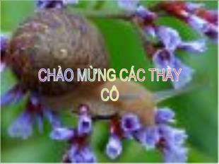 Bài giảng Hình học 11 tiết 8: Phép đồng dạng