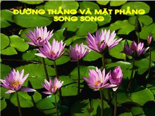 Bài giảng khối 11 môn Hình học: Đường thẳng và mặt phẳng song song