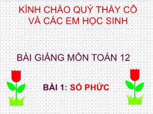 Bài giảng môn Đại số lớp 12 - Bài 1: Số phức