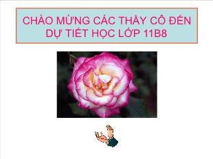 Bài giảng môn Toán học lớp 11 - Bài 2: Các quy tắc tính đạo hàm