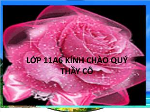 Bài giảng môn Toán học lớp 11 - Xác suất của biến cố (Tiếp theo)