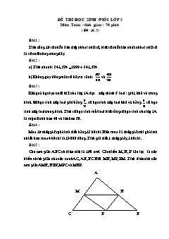 Đề thi học sinh giỏi lớp 5 môn Toán - Đề 3