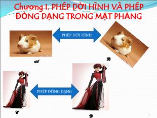 Ôn tập chương 1 - Môn Hình học 11