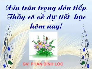 Bài giảng Hình học 11 Bài 7 Tiết 7: Phép vị tự