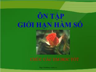 Bài giảng môn Đại số lớp 11 - Ôn tập giới hạn hàm số