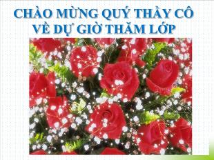 Bài giảng môn Đại số lớp 11 - Tiết 19: Ôn tập chương I: Hàm số lượng giác và phương trình lượng giác