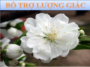 Bổ trợ lượng giác