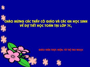 Bài giảng môn Hình học lớp 7 - Hai góc đối đỉnh (Tiếp theo)